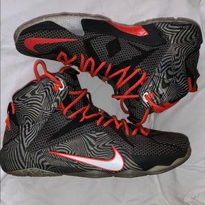 LeBron XII